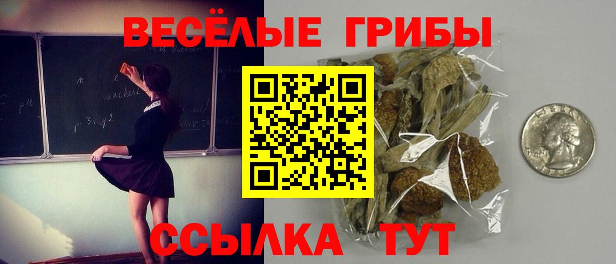 Псилоцибиновые грибы мухоморы  Вход с VPN  Сокол  Галлюциногенные грибы мухоморы 